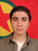 Ronahi - Nazlı Görer